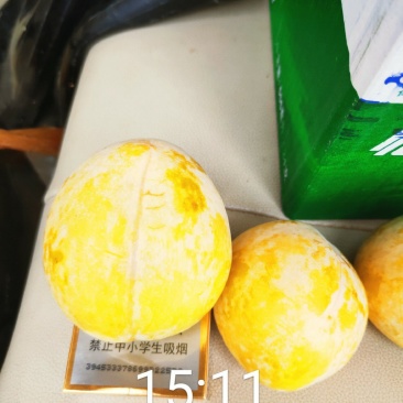 黄金奈李苗品种保证目前畅销品种市价高效益好