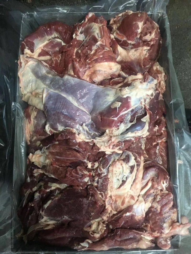 大板羊肉，25公斤定装，货源稳定，可长期供货
