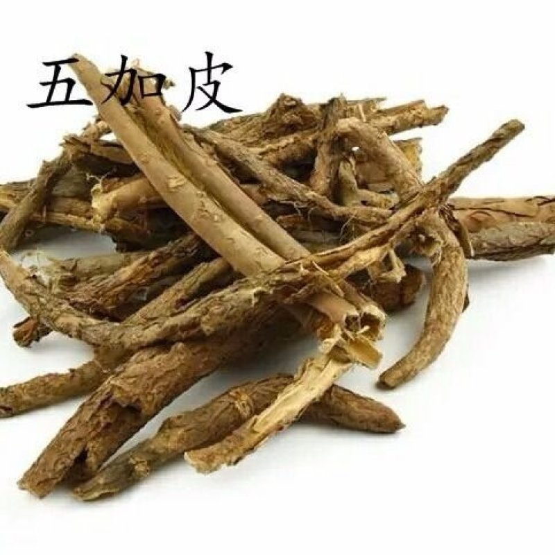 中药材五加皮香五加皮南五加皮