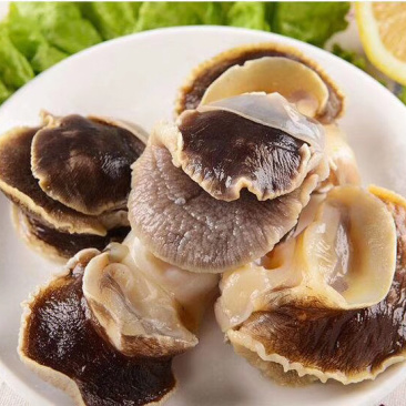 单冻去内脏香螺肉散装批发一件代发