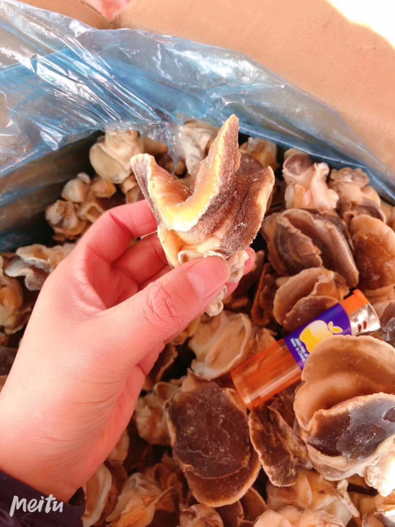 单冻去内脏香螺肉散装批发一件代发