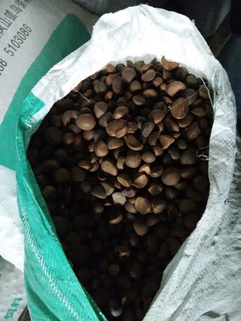 湖北省黄冈市罗田县三里畈镇油茶子