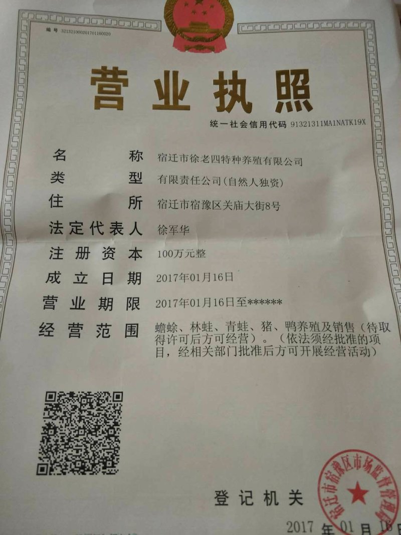 梅山猪今日报价，产仔王梅山四蹄白小母猪，