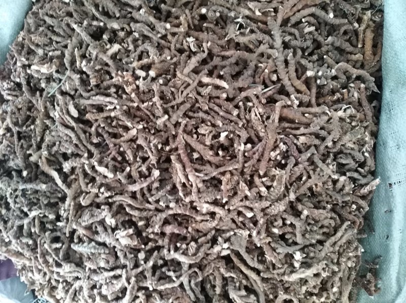 湖北省罗田县三里畈镇石菖蒲