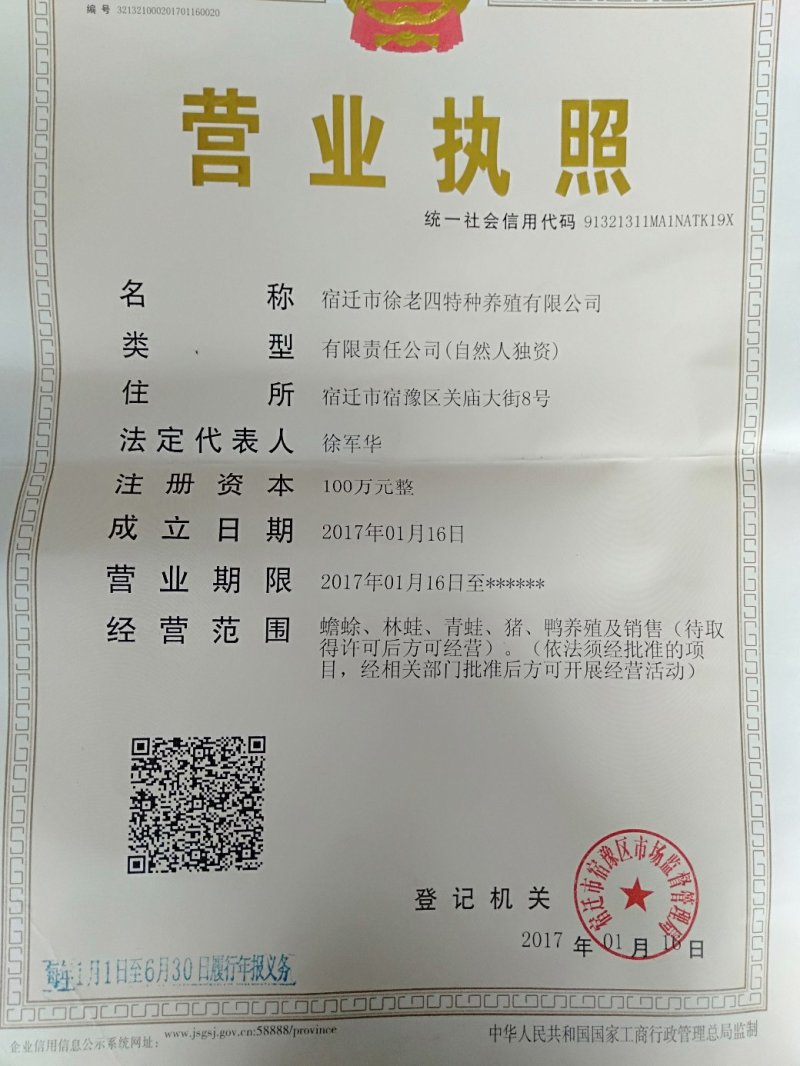 纯种梅山母猪，乳头18-22，3头以上包邮