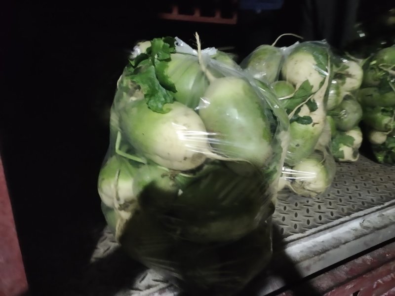 冷库大量出库青萝卜，市场货，养殖，加工厂，便宜处理