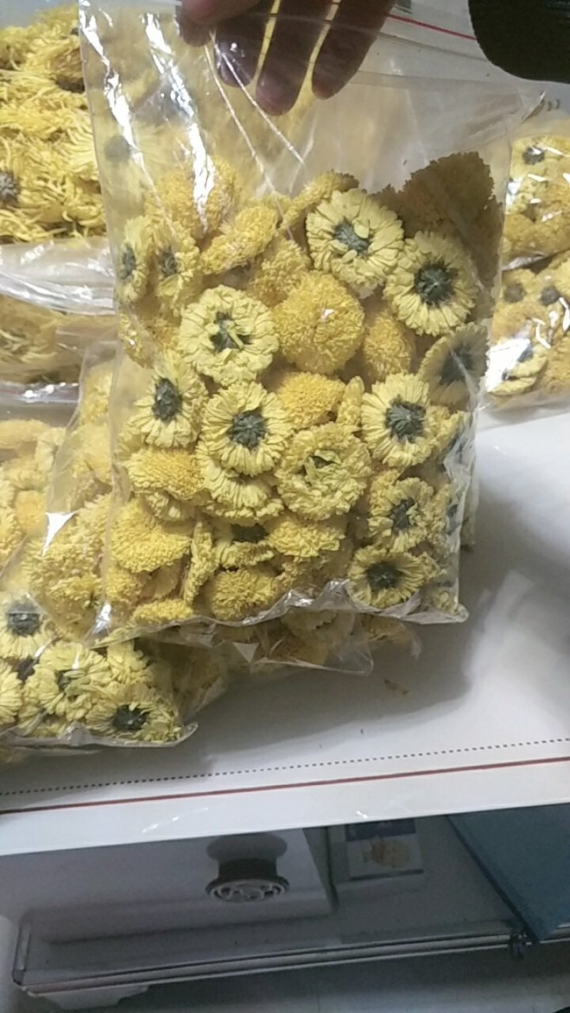 菊花种植基地河南茂林菊业直供(桃菊精品)