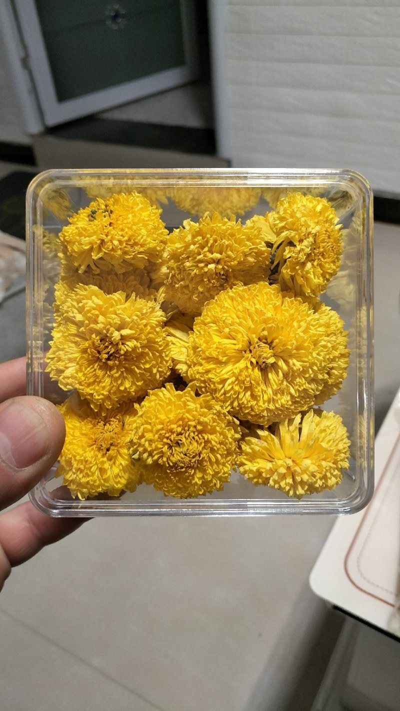菊花种植基地河南茂林菊业直供(桃菊精品)