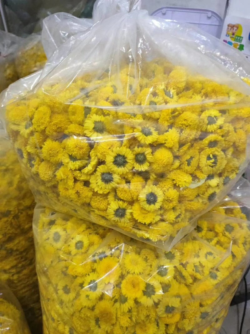 菊花种植基地河南茂林菊业直供(桃菊精品)