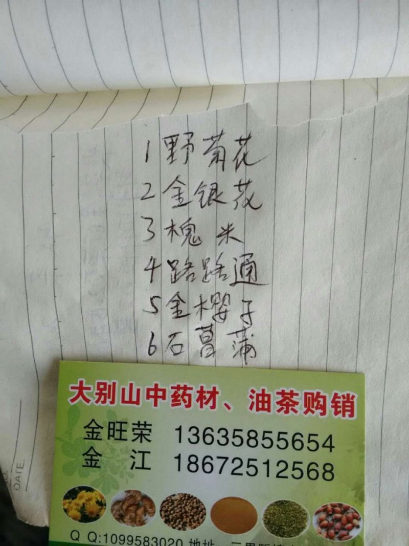 湖北省罗田县三里畈镇野菊花