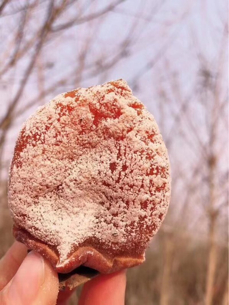 供应：柿饼~独立包装~