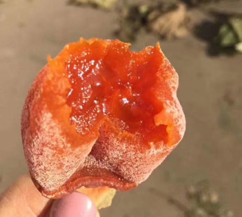 供应：柿饼~独立包装~