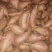 2022新鲜沂蒙蜜薯烟薯25一件代发量供应