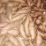 2022新鲜沂蒙蜜薯烟薯25一件代发量供应