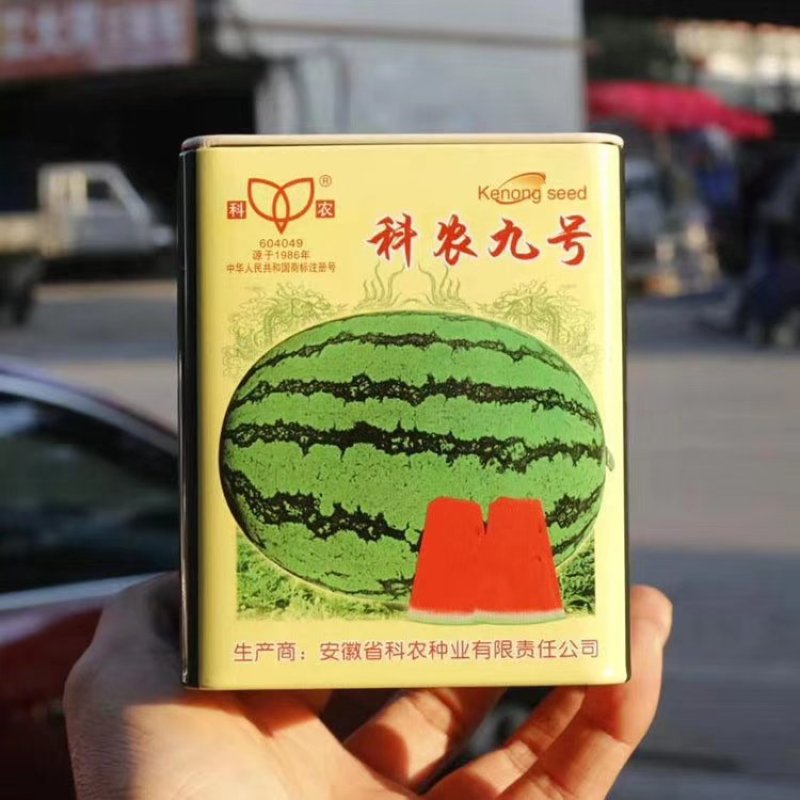 科农九号西瓜种子中晚熟大果红瓤高糖椭圆皮韧抗重茬春季基地