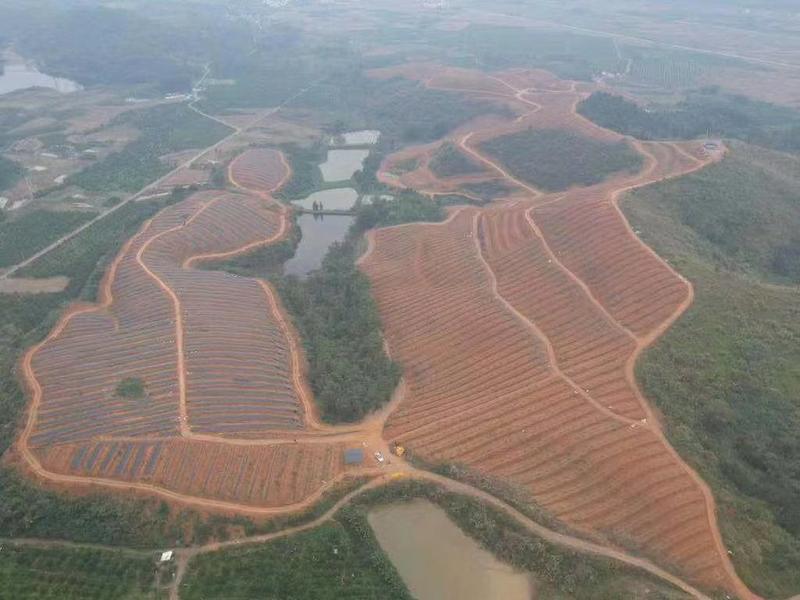 除草布防草布果树果园保湿布遮草布抑草布席园林农用园艺地布