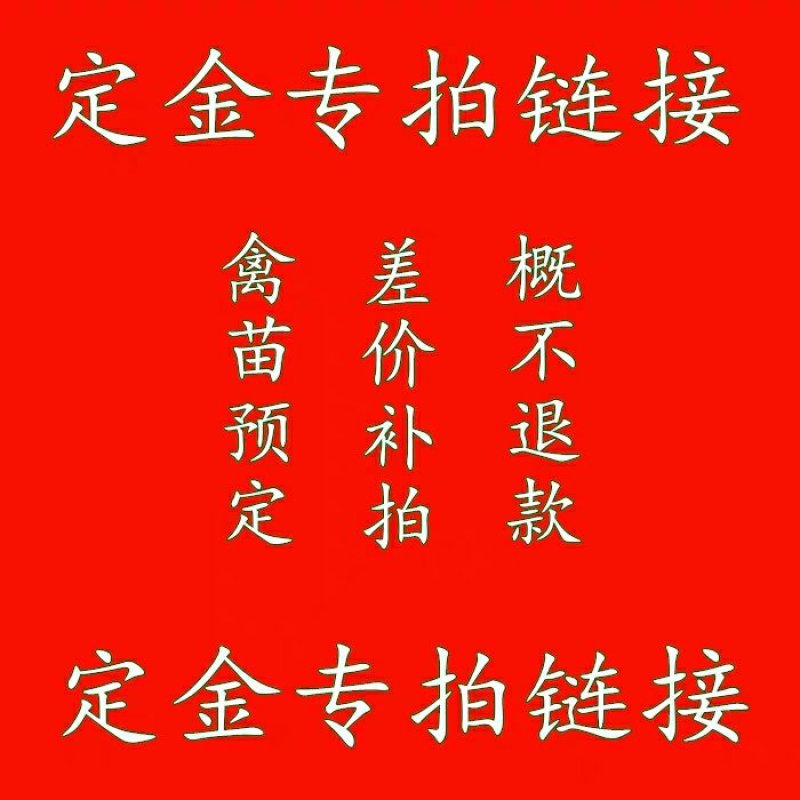 鸡苗鸭苗种禽苗预定补差价连接补运费链接，差多少拍多少