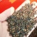 杜梨种子梨树种子精选货.产地直销低价出售芽率90%以上