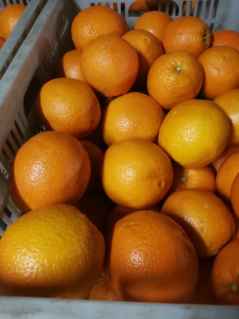 脐橙65~70mm正宗奉节脐橙鲜果长期72-1鲜香纯甜