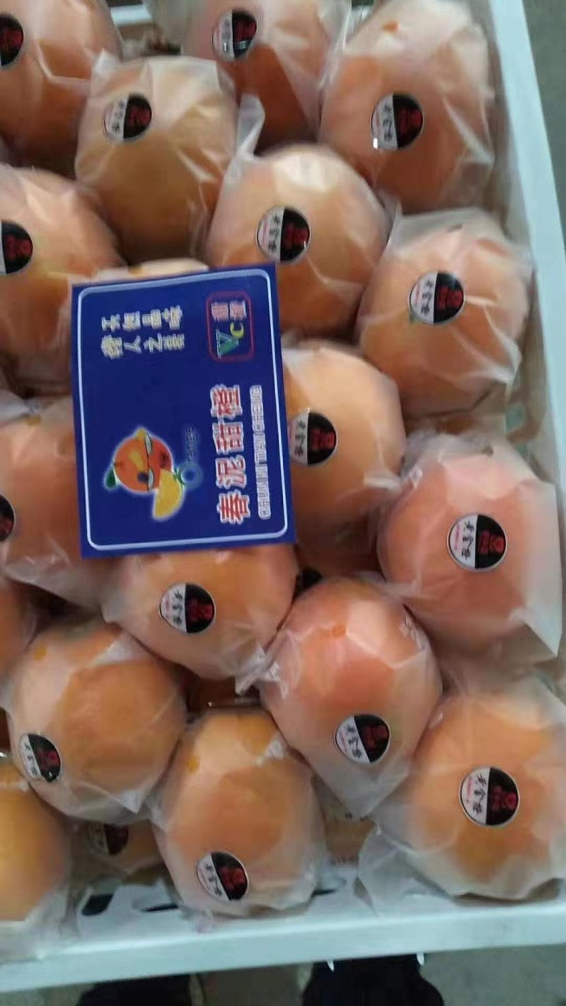 常年供应脐橙招大型电商入驻