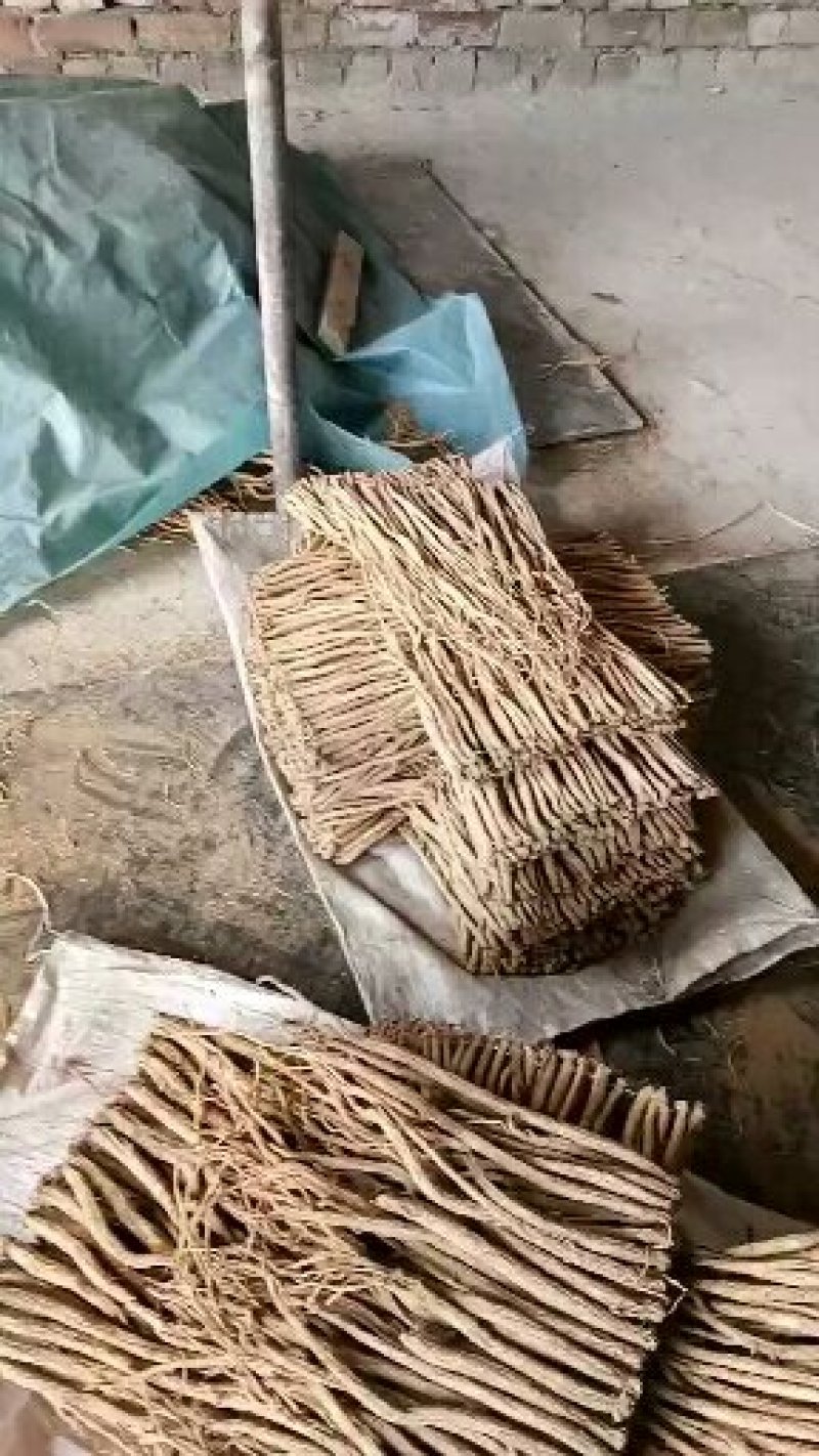 岷县白条党人工种植原生态农业自然晾晒