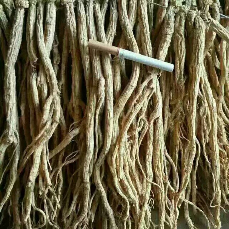 岷县白条党人工种植原生态农业自然晾晒