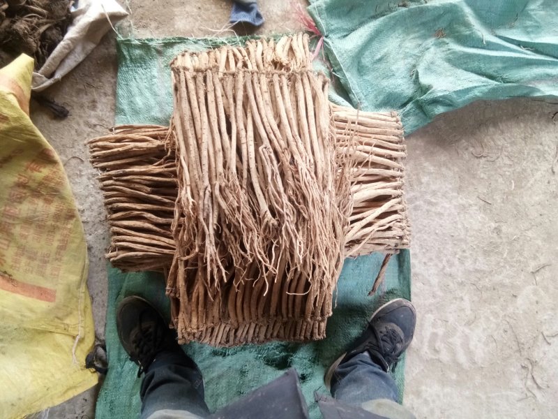 岷县白条党人工种植原生态农业自然晾晒
