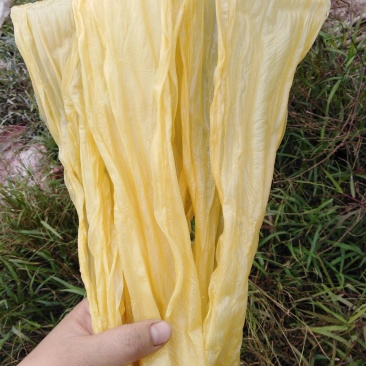 要火了！桂平特产扁竹，纯黄豆纯手工，批发散卖，量大返点多