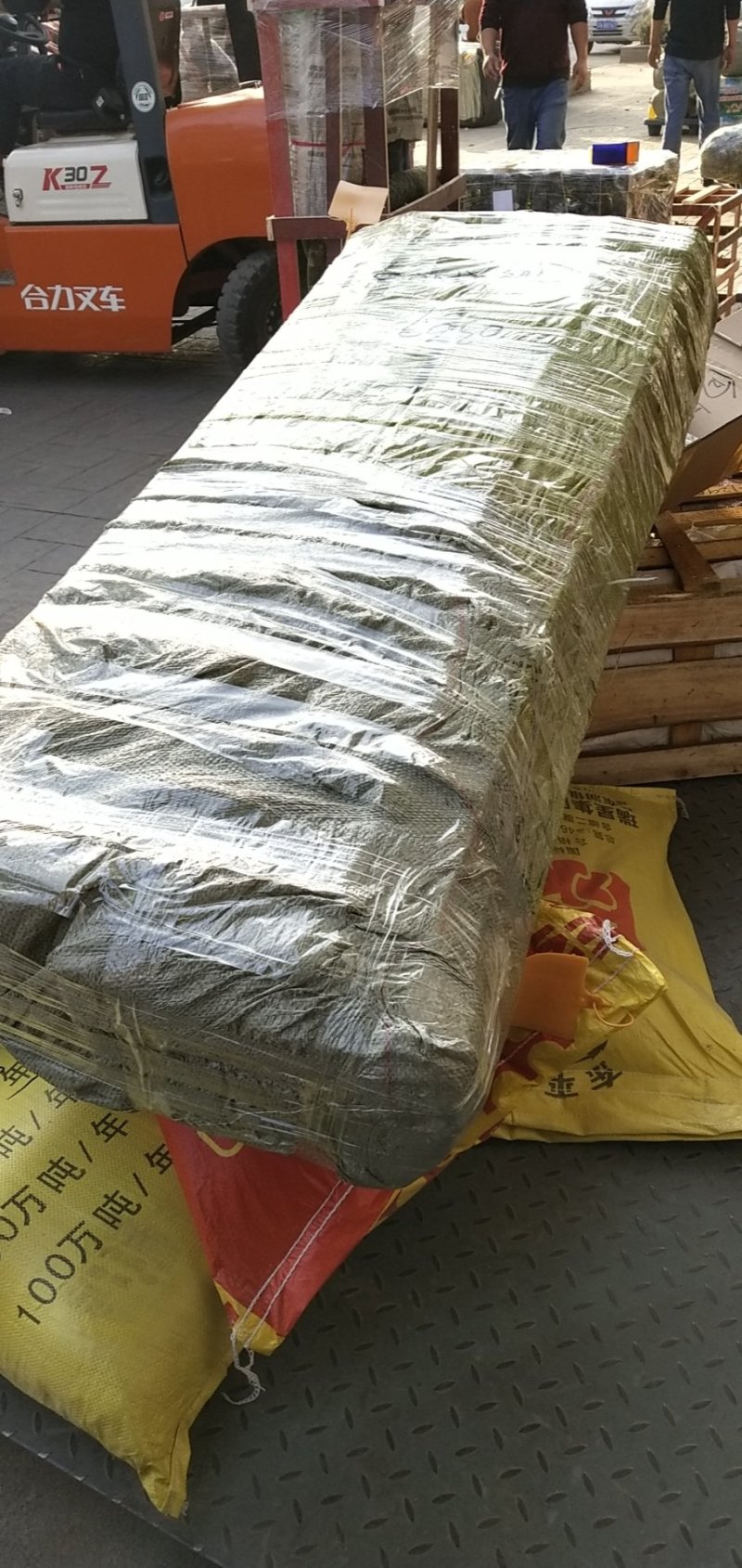 墙薇爬墙梅农户直销零售批发-庭院做花墙花架用或园林绿化