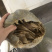 重庆火锅食材水发黑个子本色个子毛肚自助餐供应