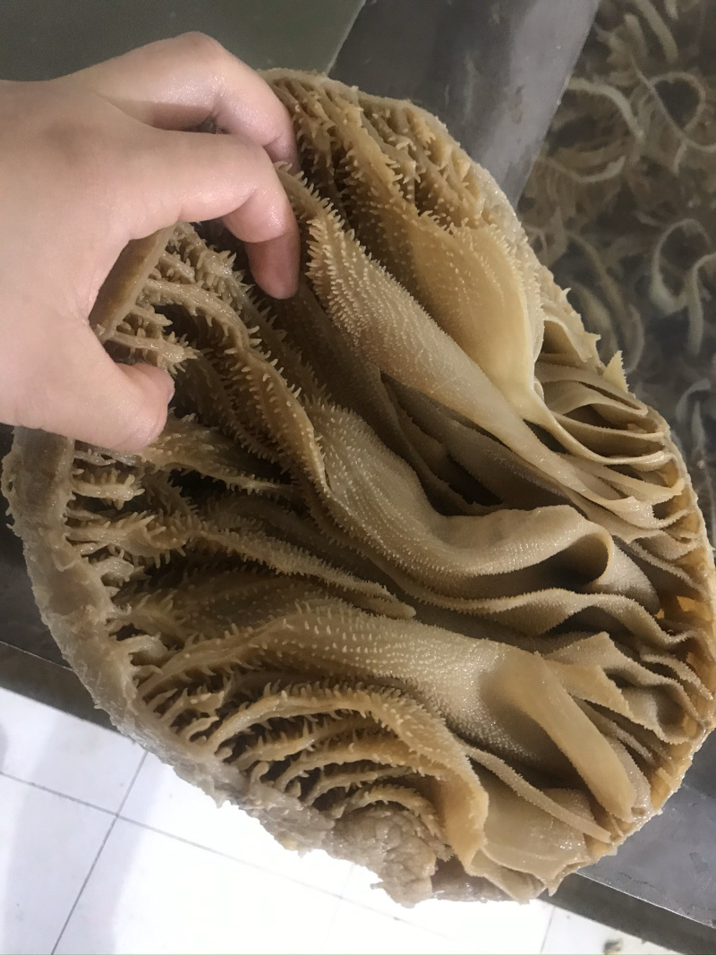 重庆火锅食材水发黑个子本色个子毛肚自助餐供应