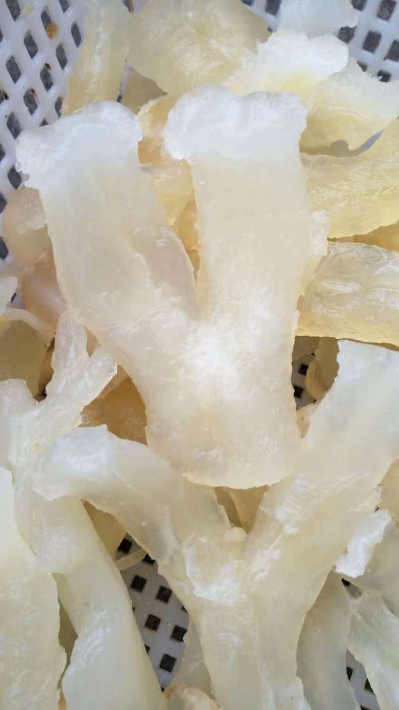 重庆火锅食材水发牛主筋牛蹄筋红烧火锅串串