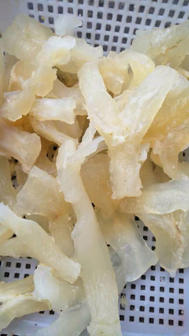 重庆火锅食材水发牛主筋牛蹄筋红烧火锅串串