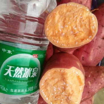 二两以上西瓜红统货，沙地种植，支持各种包装