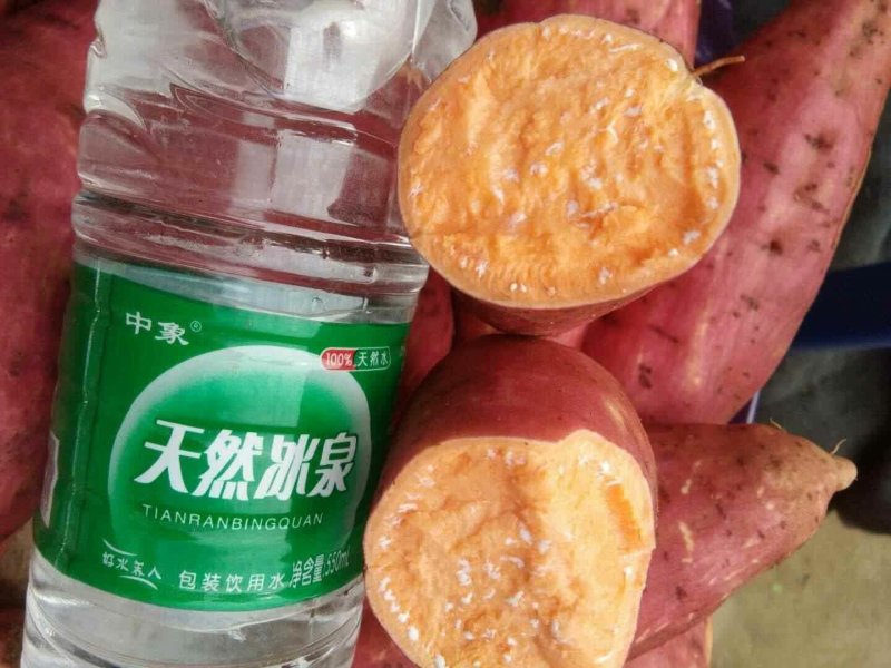 二两以上西瓜红统货，沙地种植，支持各种包装