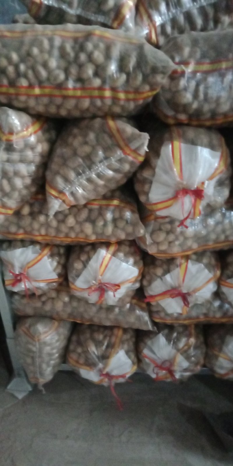 荷兰十五土豆1-----3量荷兰，黄皮黄心，油炸专用土