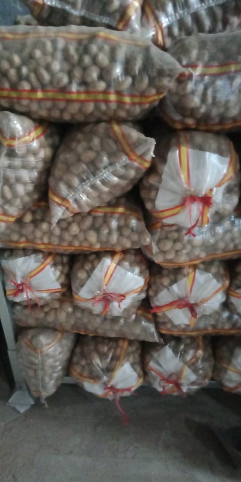 荷兰十五土豆1-----3量荷兰，黄皮黄心，油炸专用土
