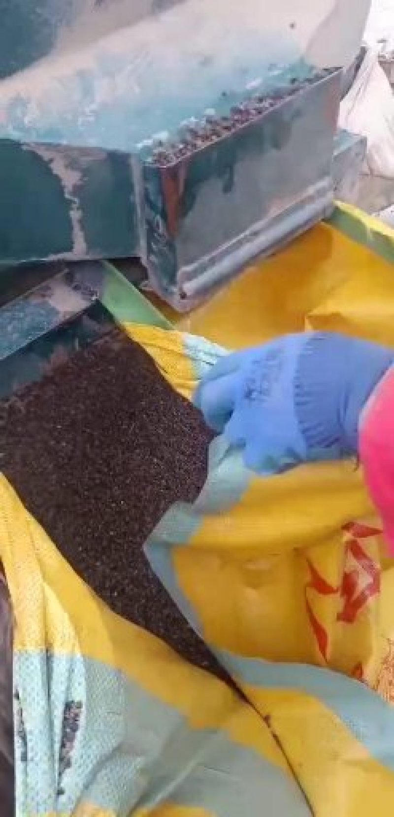 定边县荞之农粮油工贸，大量批发各种荞麦，谷类，