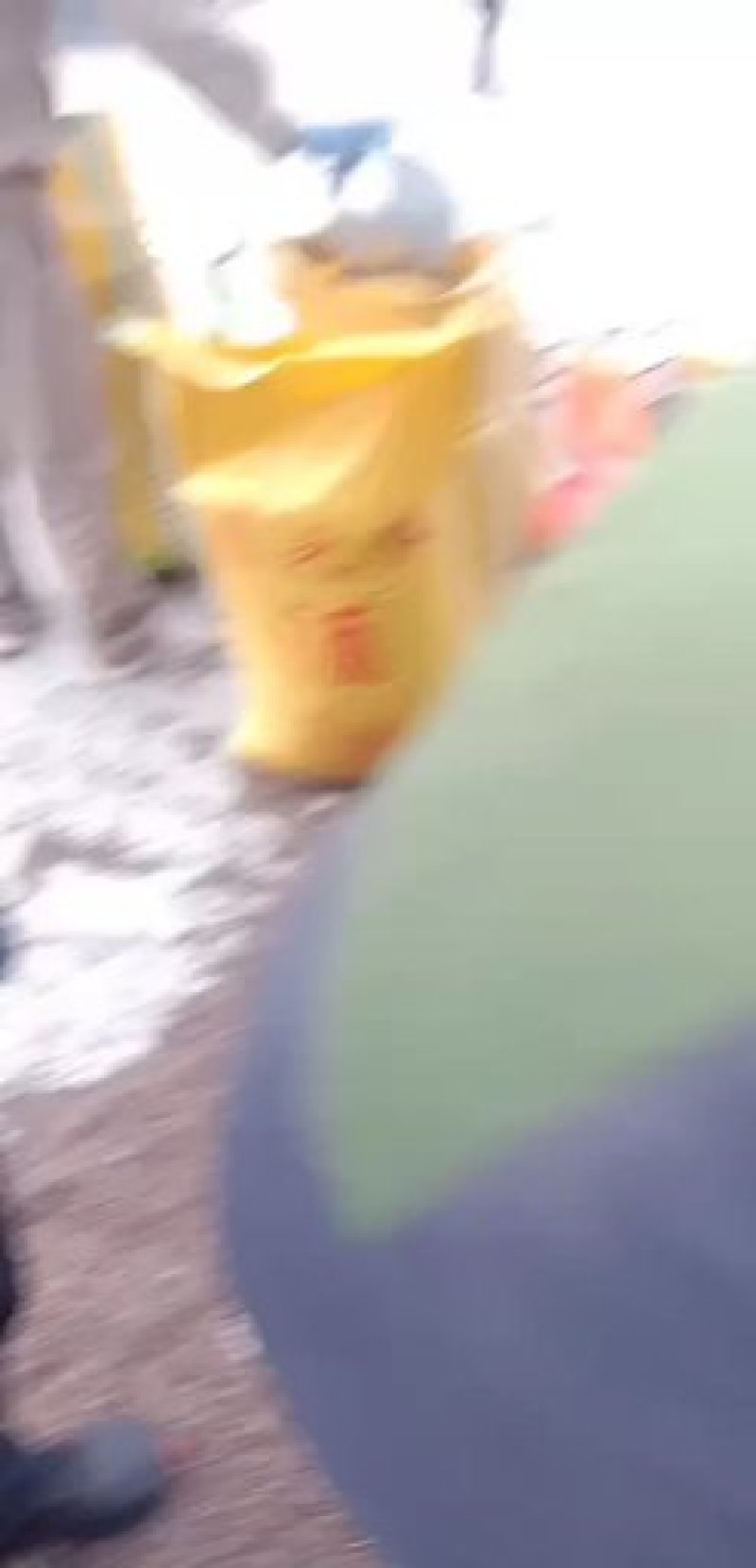 定边县荞之农粮油工贸，大量批发各种荞麦，谷类，