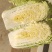 北京新三号白菜4~6斤净菜-山东白菜，