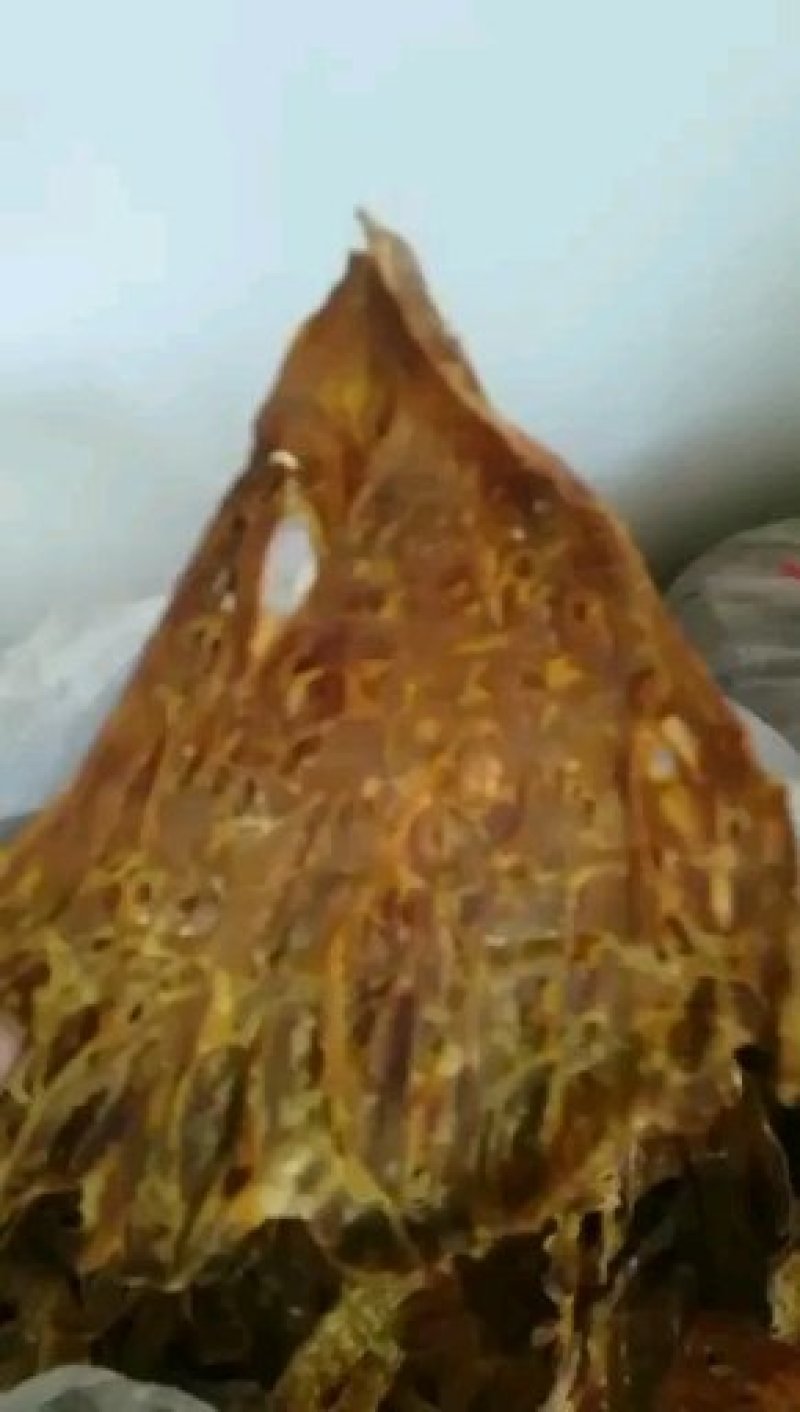 笋干