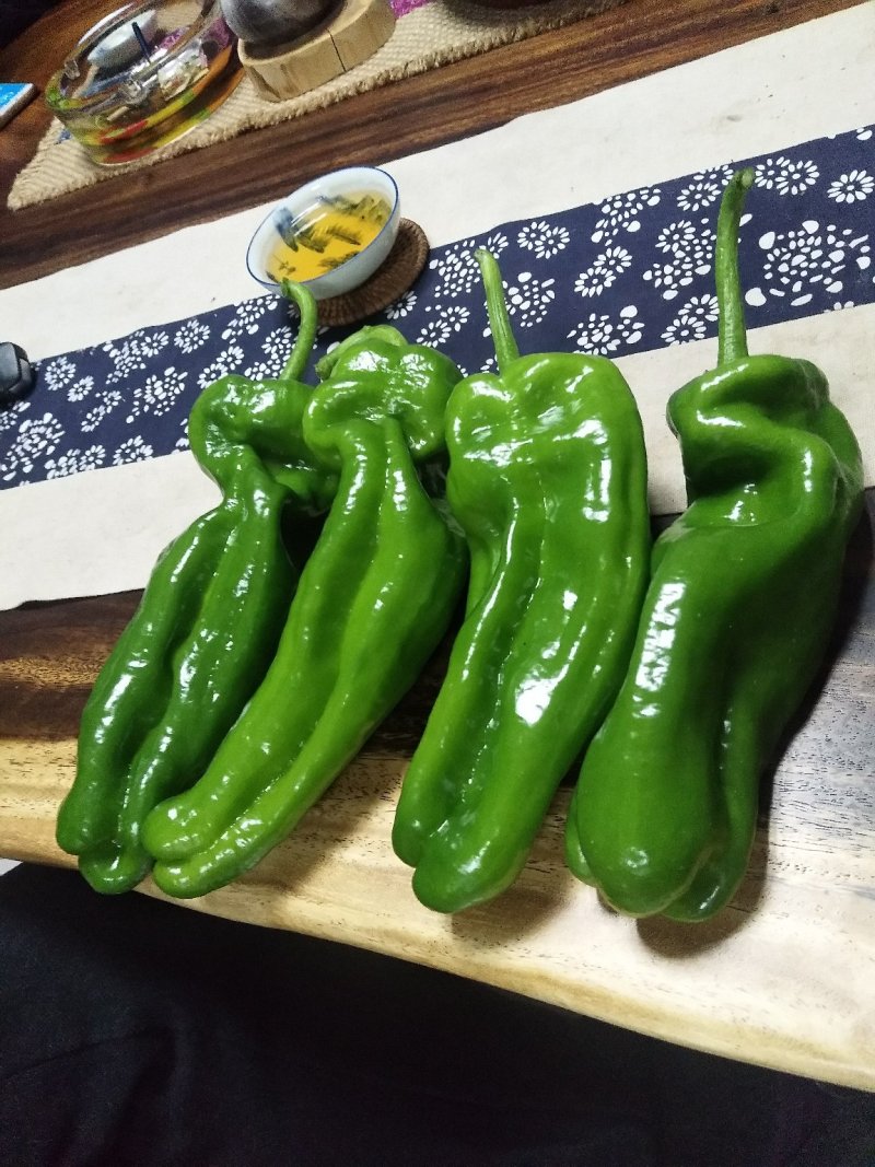 山东鲜辣椒，芜湖椒15~20厘米微辣，果形好