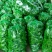 山东鲜辣椒，芜湖椒15~20厘米微辣，果形好
