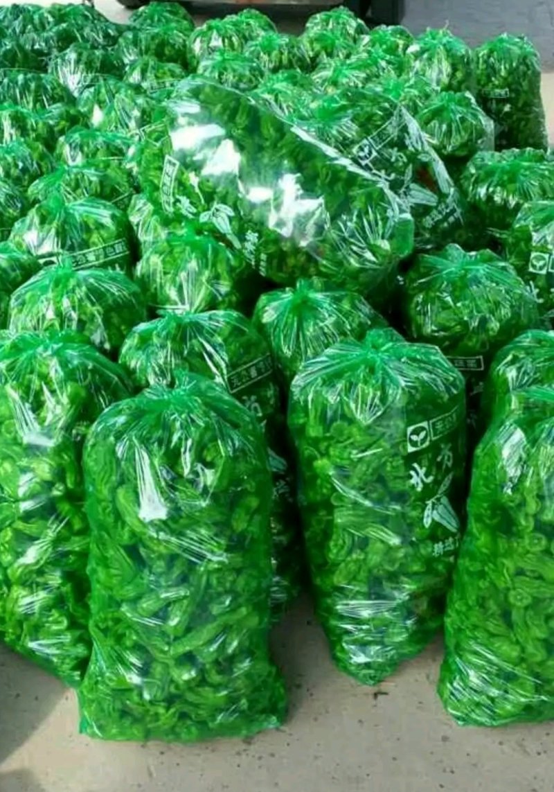 山东鲜辣椒，芜湖椒15~20厘米微辣，果形好