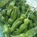 山东鲜辣椒，芜湖椒15~20厘米微辣，果形好