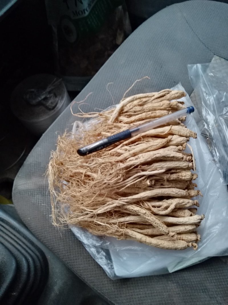 人参干货无硫自然晒干长白山小人参整枝白参生晒人参
