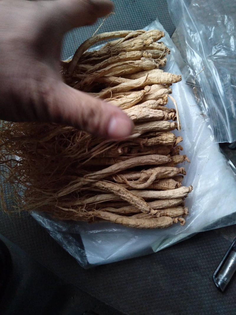 人参干货无硫自然晒干长白山小人参整枝白参生晒人参