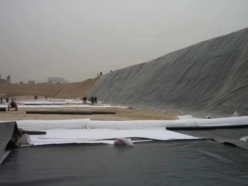 纯原料防渗膜隧道防水板废渣厂土工膜厂家直销