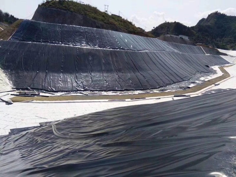 纯原料防渗膜隧道防水板废渣厂土工膜厂家直销