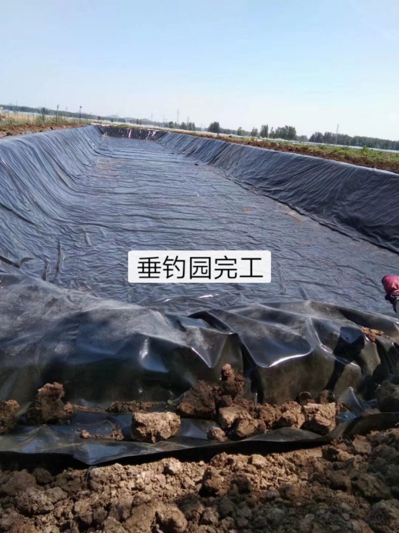 纯原料防渗膜隧道防水板废渣厂土工膜厂家直销